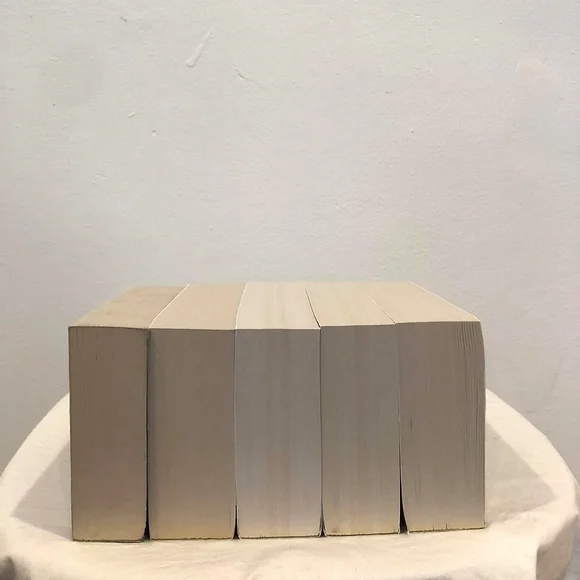 Game of Thrones 5-Book Boxed Set by George R. R. Martin - Picture 7 of 13